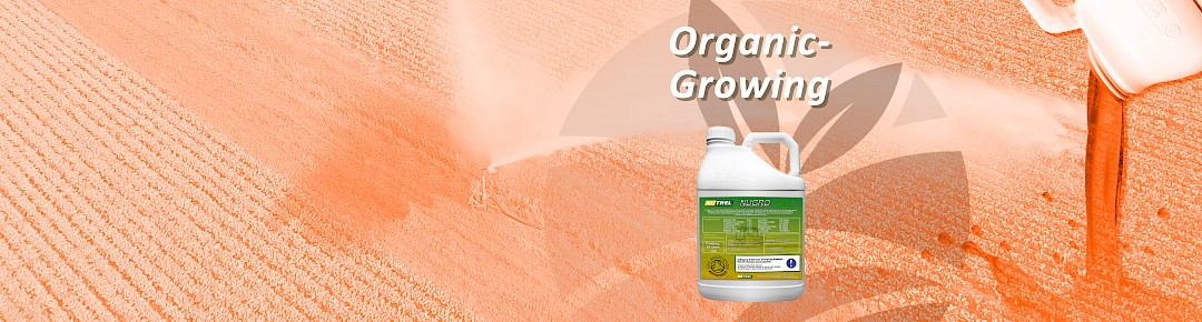 Organic-Growing Products