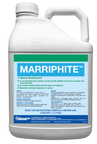 MARRIPHITE™